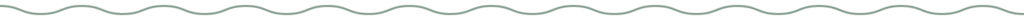 Squiggly Line Divider