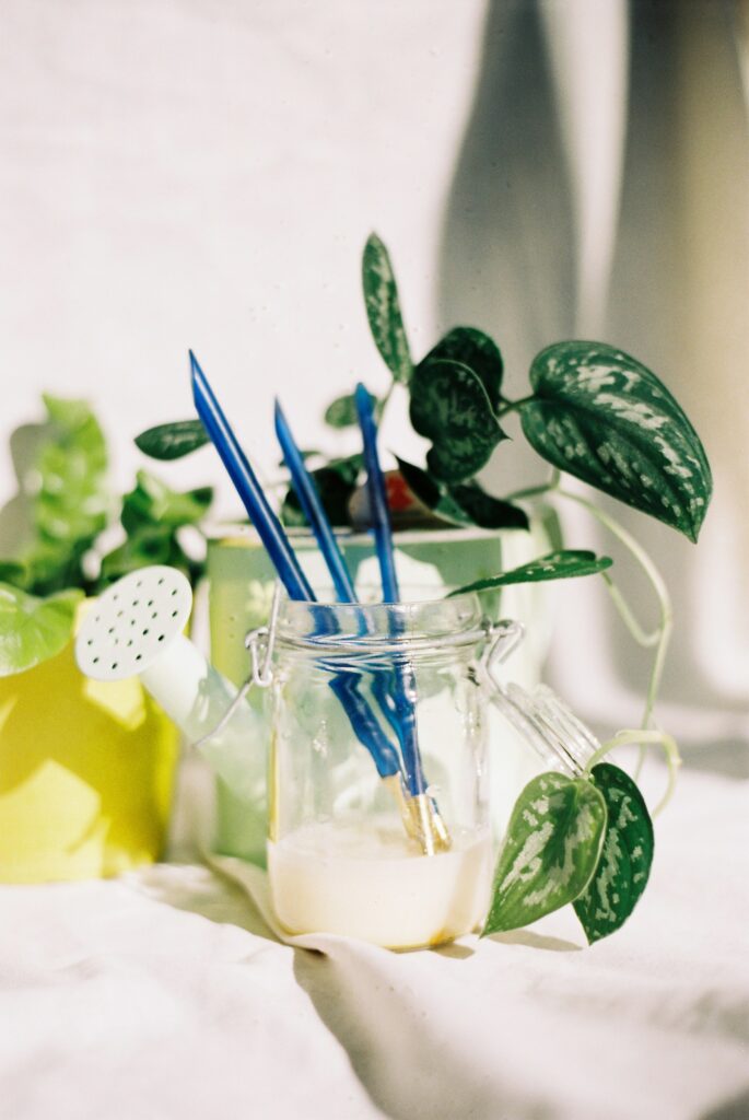 Plants and Brushes