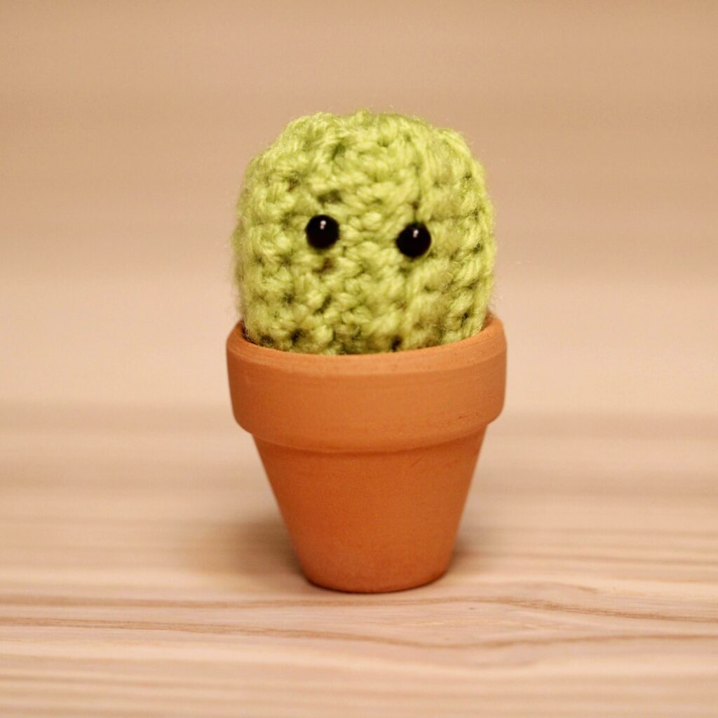 Crochet Cactus