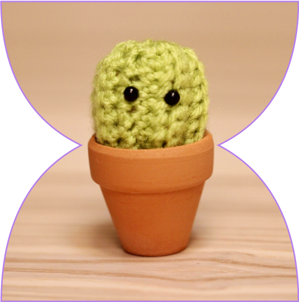 Crochet Catus workshop