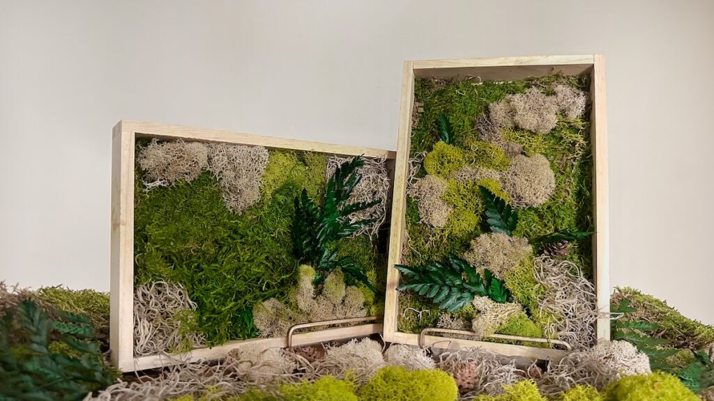 Moss Wall Art