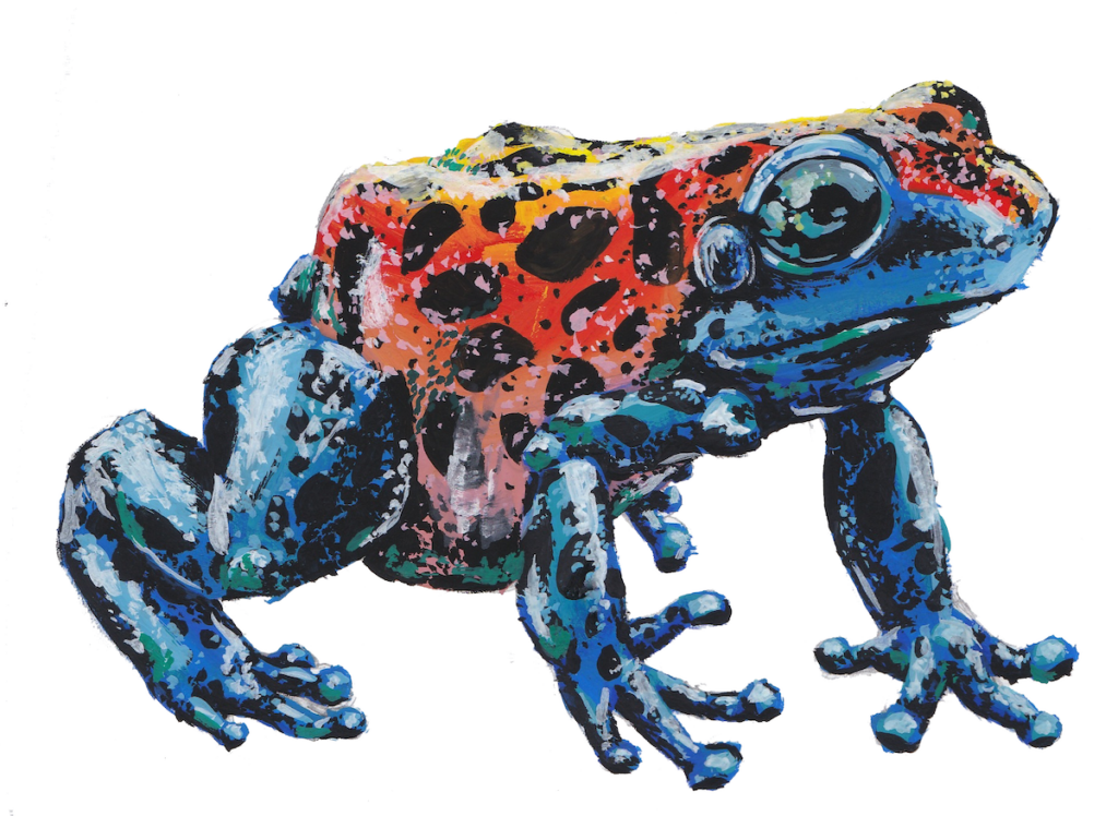 Gouache Frog