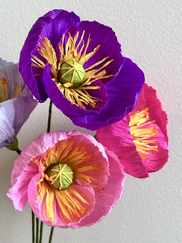 Icelandic Paper Poppies